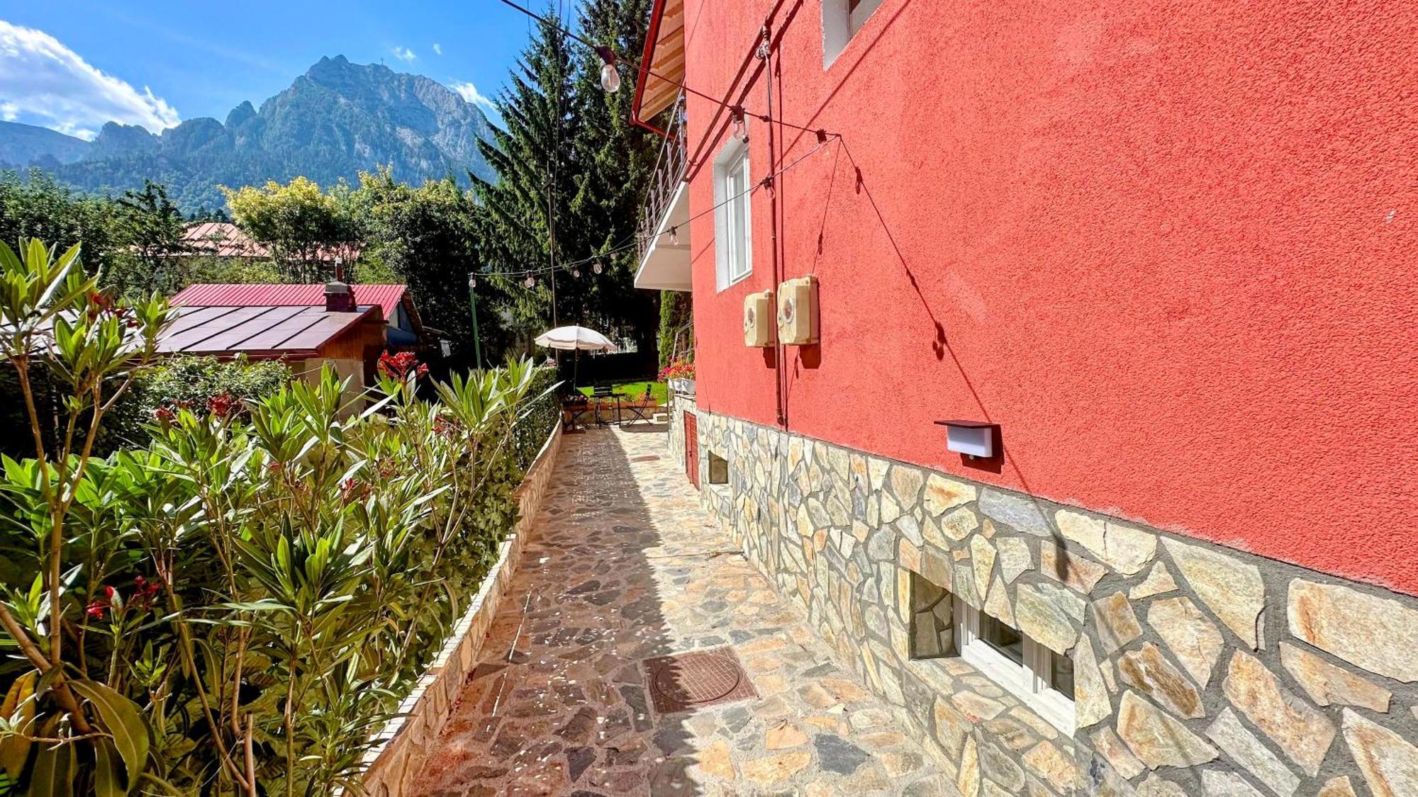 Valea Alba View - Self Check-In Hotel Busteni Exterior photo