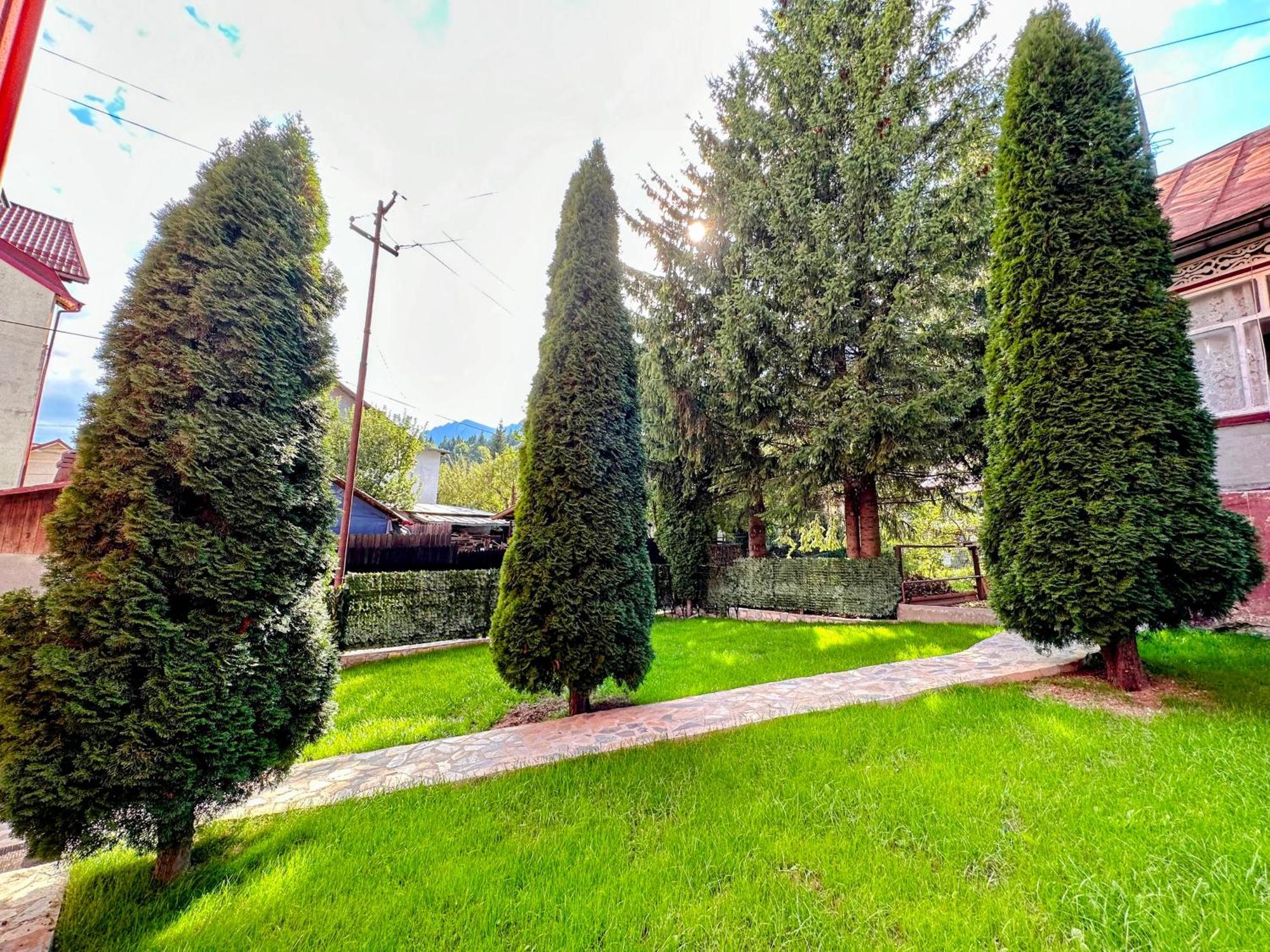 Valea Alba View - Self Check-In Hotel Busteni Exterior photo