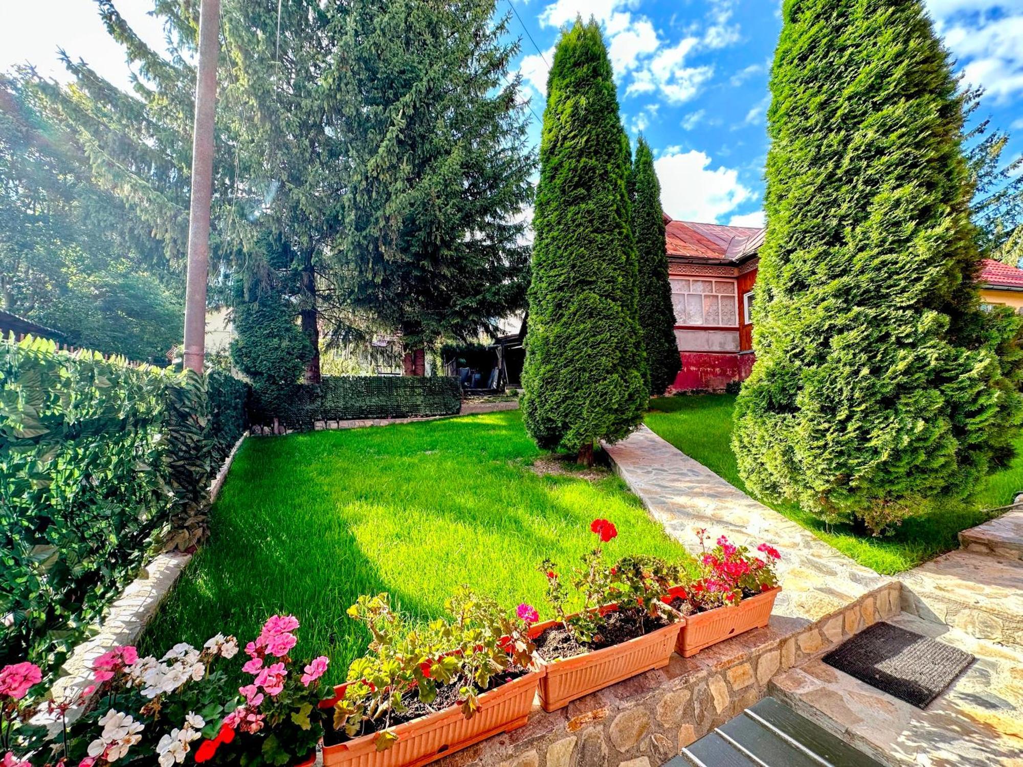 Valea Alba View - Self Check-In Hotel Busteni Exterior photo