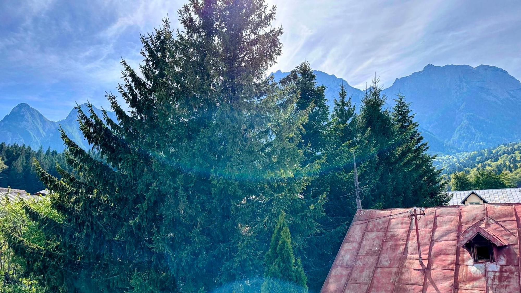Valea Alba View - Self Check-In Hotel Busteni Exterior photo