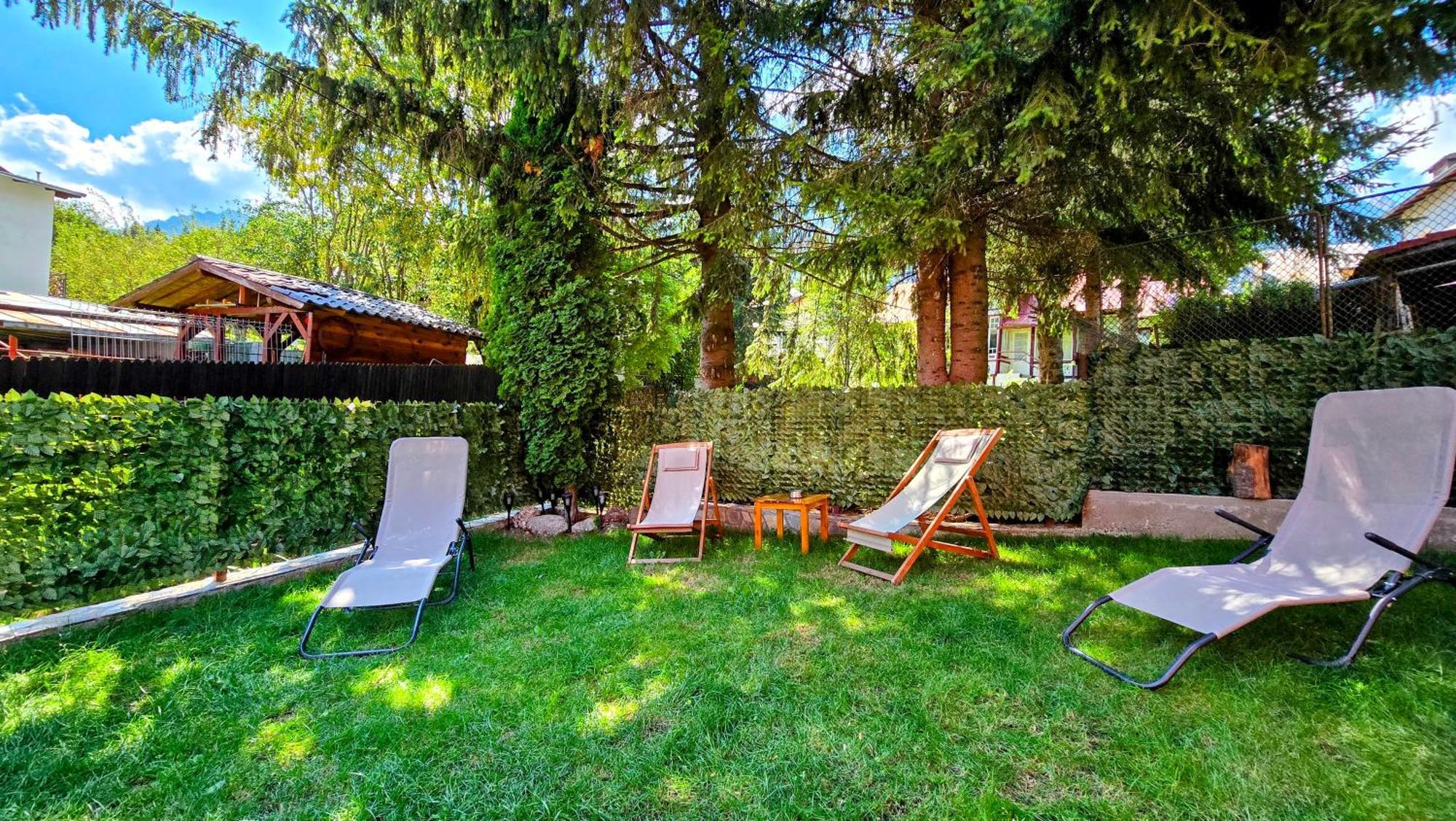 Valea Alba View - Self Check-In Hotel Busteni Exterior photo